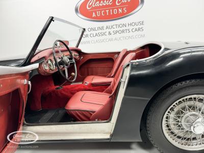 1959 Austin - Healey 100-6