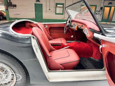 1959 Austin - Healey 100-6