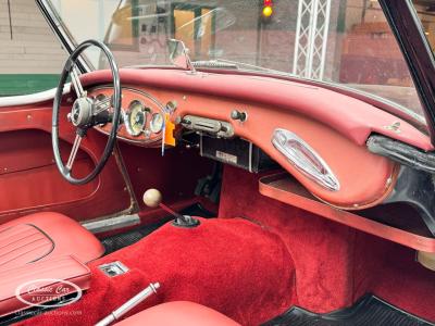 1959 Austin - Healey 100-6