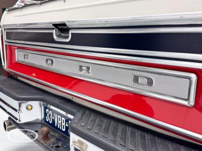1973 Ford F100