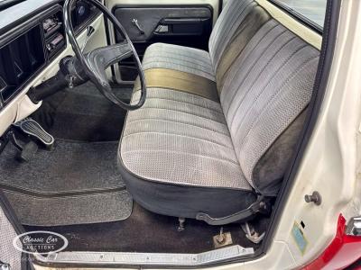 1973 Ford F100