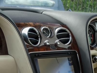 2011 Bentley 6.0 FlexFuel GT Coupe 2dr Bi Fuel Auto 6Spd 4WD Euro 5 (575 ps)