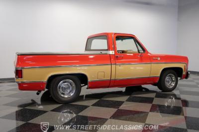 1979 Chevrolet C10 Silverado
