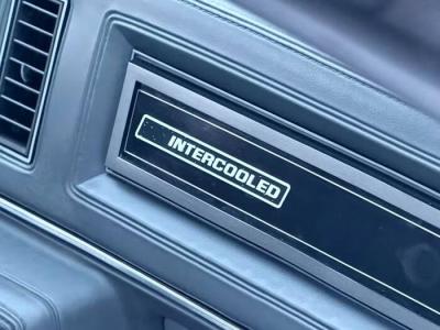 1987 Buick Regal