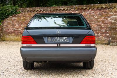 1991 Mercedes - Benz 400 SE &ldquo;The Cathedral&rdquo;