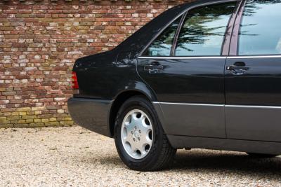 1991 Mercedes - Benz 400 SE &ldquo;The Cathedral&rdquo;