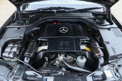 1991 Mercedes - Benz 400 SE &ldquo;The Cathedral&rdquo;