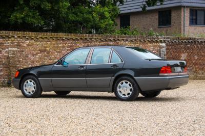 1991 Mercedes - Benz 400 SE &ldquo;The Cathedral&rdquo;