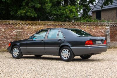 1991 Mercedes - Benz 400 SE &ldquo;The Cathedral&rdquo;