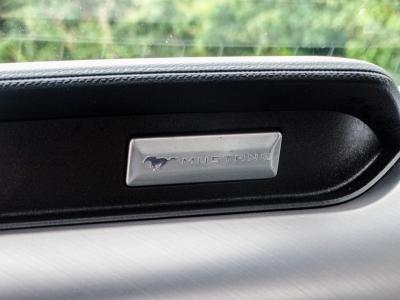 2022 Ford 5.0 V8 GT Fastback Euro 6 2dr