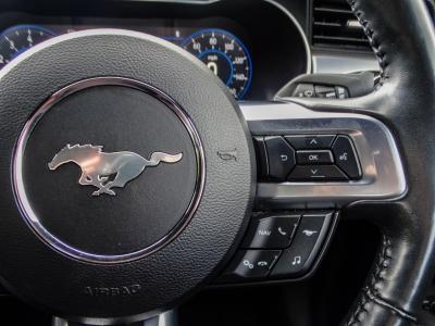 2022 Ford 5.0 V8 GT Fastback Euro 6 2dr