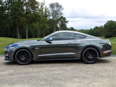 2016 Ford 5.0 V8 GT Fastback Euro 6 2dr