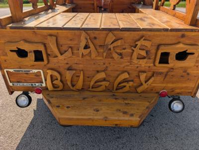 1985 Chevrolet Cavalier Custom Wood Buggy