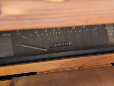 1985 Chevrolet Cavalier Custom Wood Buggy