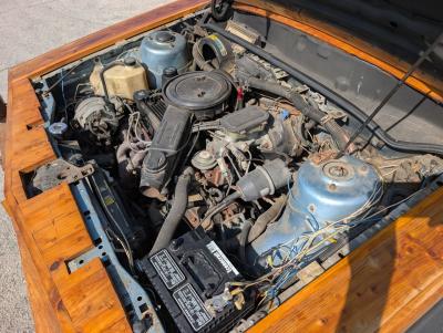 1985 Chevrolet Cavalier Custom Wood Buggy