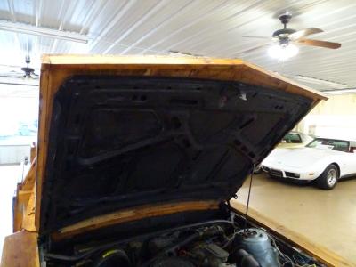 1985 Chevrolet Cavalier Custom Wood Buggy