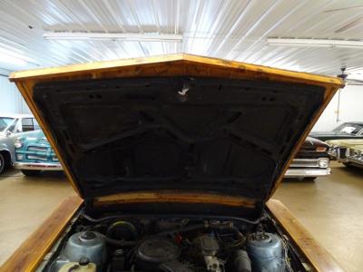 1985 Chevrolet Cavalier Custom Wood Buggy