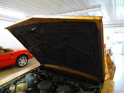 1985 Chevrolet Cavalier Custom Wood Buggy