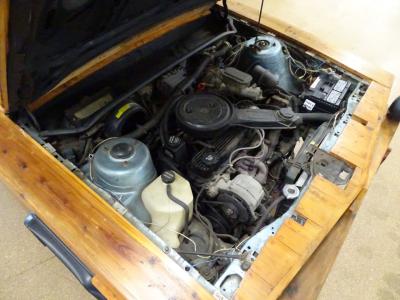 1985 Chevrolet Cavalier Custom Wood Buggy
