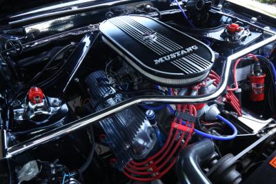 1969 Ford Mustang 302 Fastback &ldquo;Bare metal restoration&rdquo;