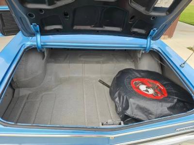 1967 Chevrolet Chevelle