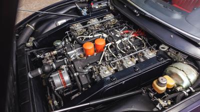 1971 Ferrari 365 GTC/4 ex-Sergio Pininfarina