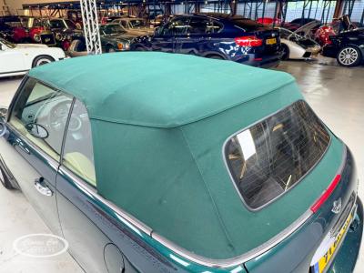 2004 Mini COOPER