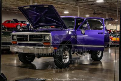 1989 Dodge Ramcharger