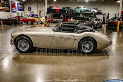 1967 Austin - Healey 3000