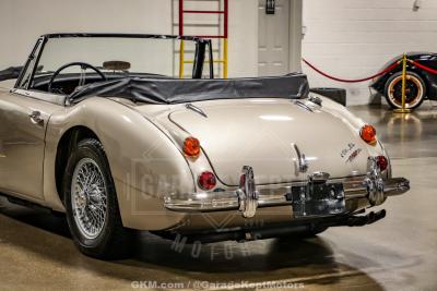 1967 Austin - Healey 3000