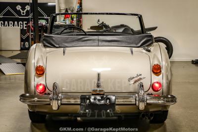 1967 Austin - Healey 3000