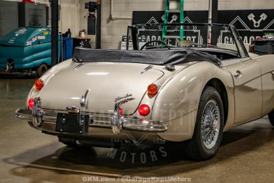 1967 Austin - Healey 3000