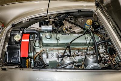 1967 Austin - Healey 3000