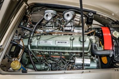 1967 Austin - Healey 3000