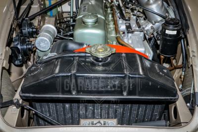 1967 Austin - Healey 3000