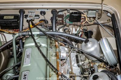 1967 Austin - Healey 3000