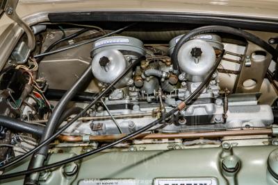 1967 Austin - Healey 3000