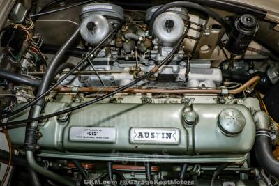 1967 Austin - Healey 3000