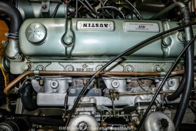 1967 Austin - Healey 3000