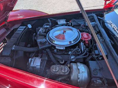 1981 Chevrolet Corvette Buehrig Coupe