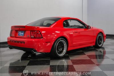 2004 Ford Mustang SVT Cobra Terminator