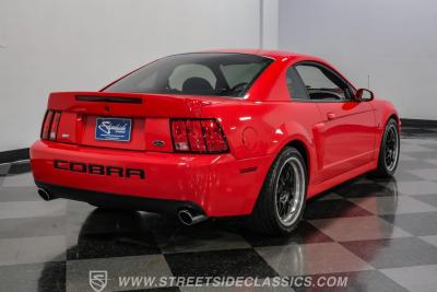 2004 Ford Mustang SVT Cobra Terminator