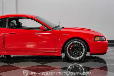 2004 Ford Mustang SVT Cobra Terminator