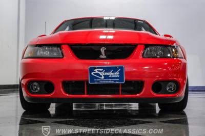 2004 Ford Mustang SVT Cobra Terminator