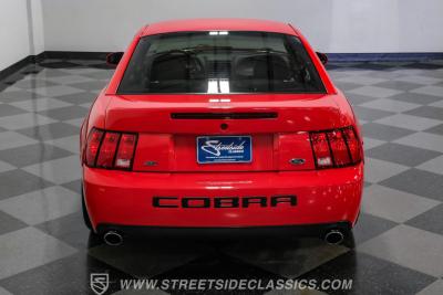 2004 Ford Mustang SVT Cobra Terminator