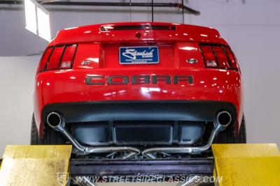 2004 Ford Mustang SVT Cobra Terminator
