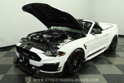 2023 Ford Mustang Shelby GT500 Super Snake Speedster
