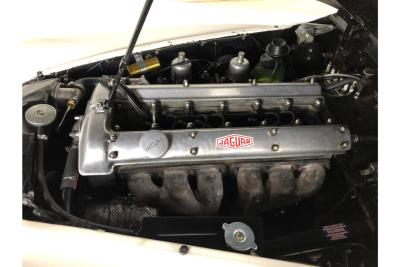 1952 Jaguar XK120 Fixed Head Coupe