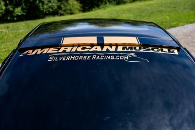 2009 Ford Mustang V6
