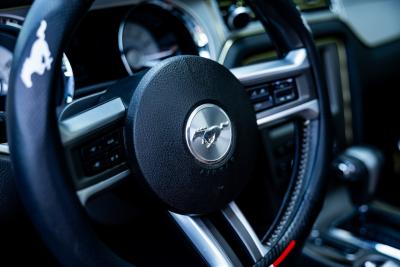 2009 Ford Mustang V6